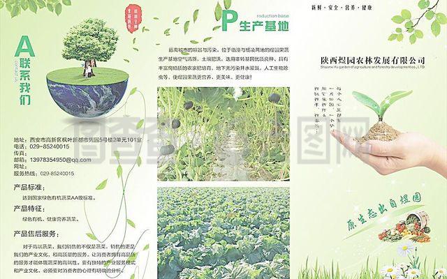 农产品三折页图片设计指南 视觉魅力与信息传递