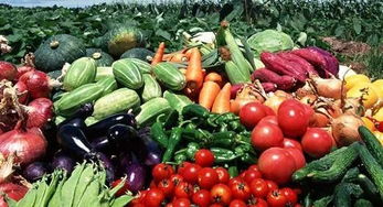 河南农产品出口突破新高，绿色安全成国际市场金字招牌