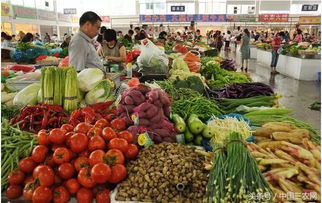 从田间到餐桌的“价格鸿沟” 农产品滞销与城市高价背后的深层矛盾