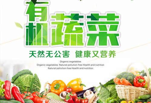 刘璧闻与楚湘美食文化 烩嘟美食旗下品牌如何赋能湖南农产品