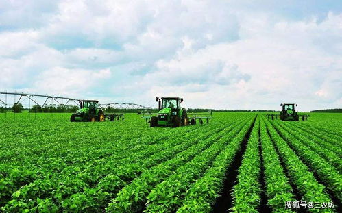 美国农产品为何近乎‘白送’？低价出口背后的战略与隐忧