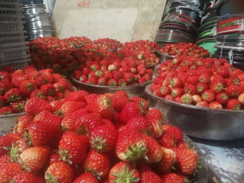 小范围配送与物流协作 防疫期间农产品销售破局之道