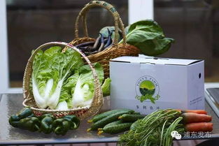 浦东农博会周五开幕，600多种优质农产品齐亮相，文末福利等你拿！