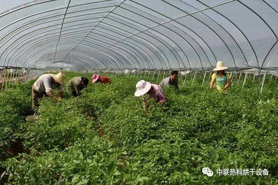 农副产品与农产品 概念辨析、区别解读与加工补贴政策解析