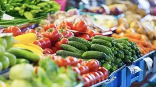 8月18日要闻聚焦 农产品市场动态与行业新风向