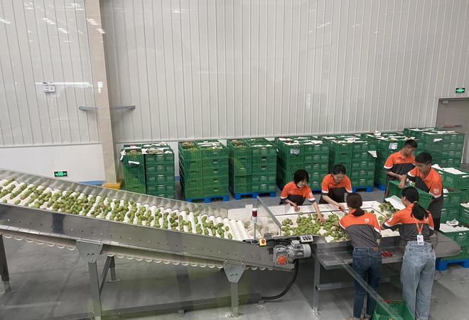 产地仓 农产品商品化的第一道“闸门”