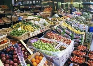 中越企业携手 跨国农产品供应链的新篇章