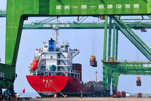 天津港农产品运输繁忙，助力区域经济发展